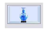 49 het“ Transparante LCD Scherm 1074×604mm voor Koelkastreclame